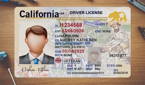 Driver License Template Psd